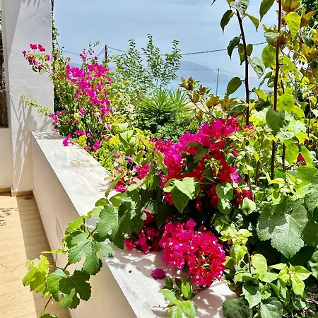 Despoina's Maisonette At Rafaella Tatil Evi